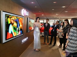 瑞轩画廊携手旷世巨作 LG画廊OLED电视在京正式发布