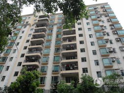 宝瑞轩与瑞轩画廊的艺术品价格走势分析